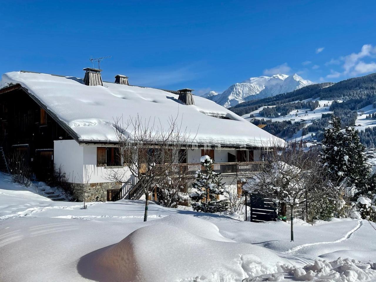 Chalet A Megeve-Vauvray - Grands Appartements , Vue Mont Blanc Demi-Quartier Ngoại thất bức ảnh