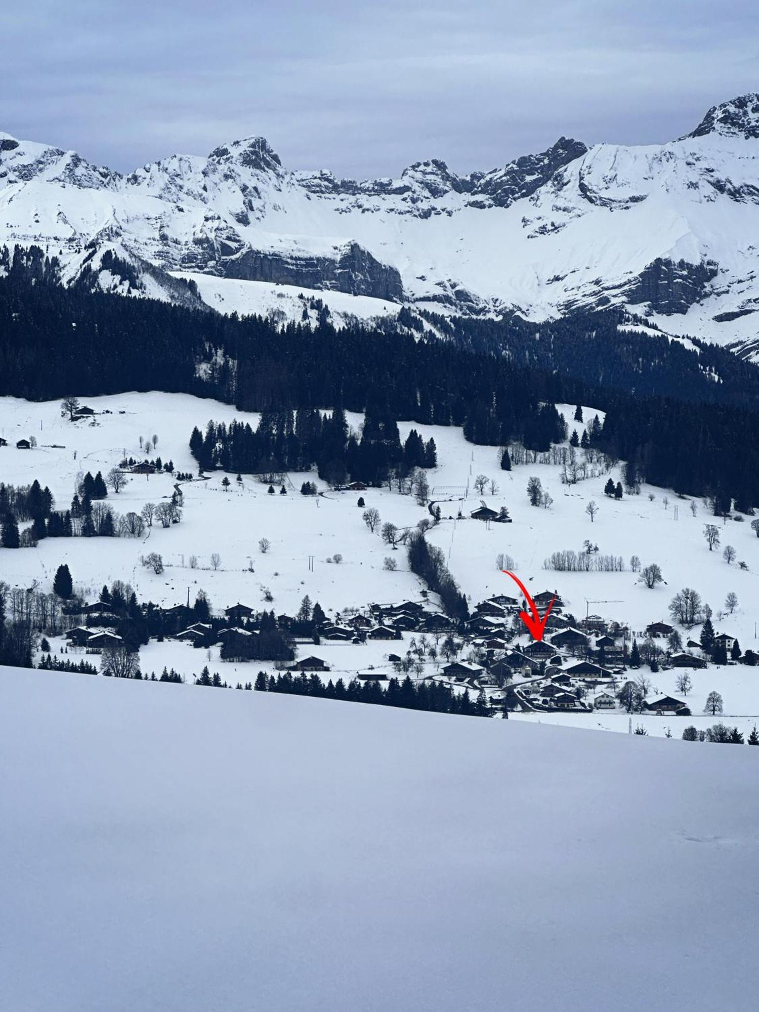 Chalet A Megeve-Vauvray - Grands Appartements , Vue Mont Blanc Demi-Quartier Ngoại thất bức ảnh